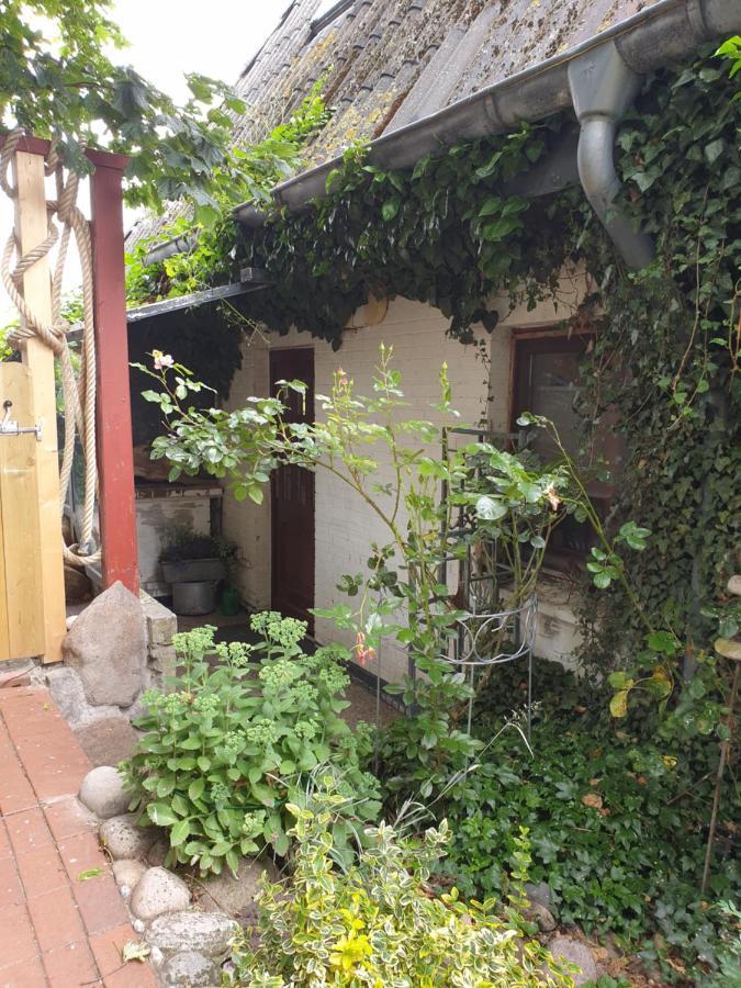 Ferienwohnung Am Osterdeich Dagebüll Exterior foto